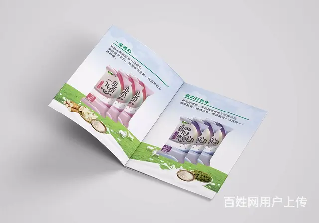 企业平台招商手册设计，精品画册设计制作 - 图片 12