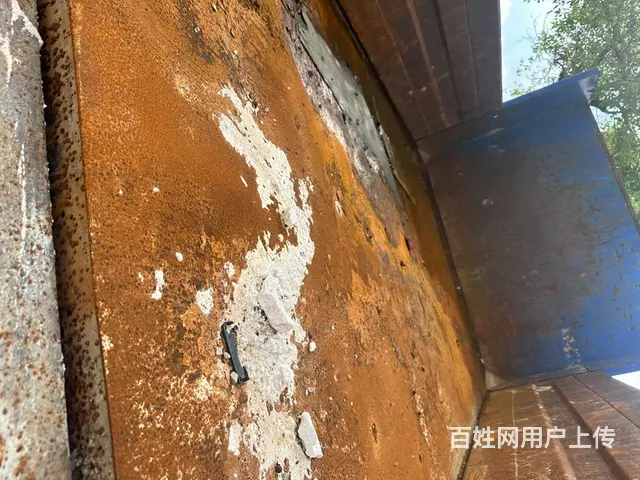 捡死鱼 - 图片 10