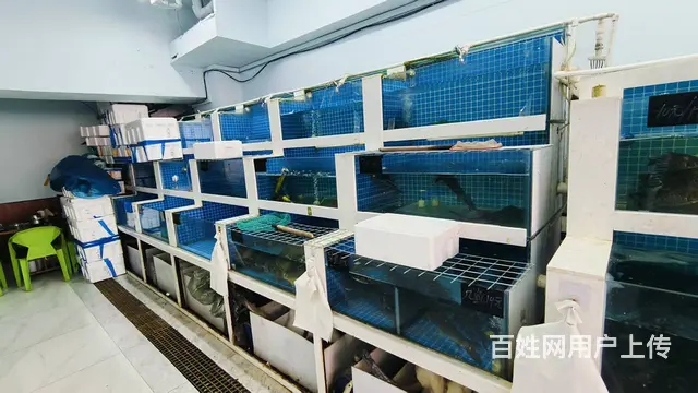 宽城区海鲜批发店出兑 带线上客户资源 - 图片 6