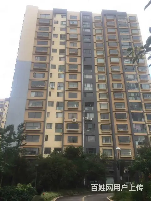 星耀地铁旁 星泽园2房精装修 明厨明卫 带车位 有 - 图片 9