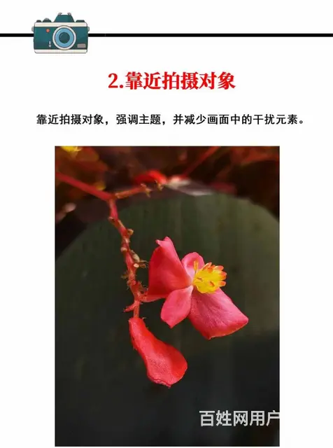 八大拍照技术来咯～ - 图片 2