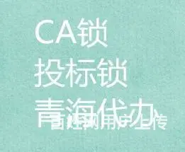 青海CA锁代办、CA锁到期延续、CA锁新办 - 图片 4